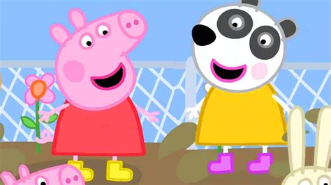 peppapig youtube|peppa pig full episodes new.